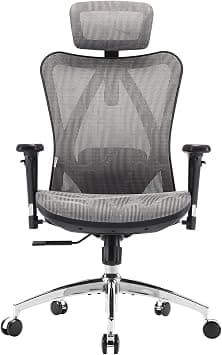 SIHOO M57 Ergonomic Office Chair, Computer Chair Desk Chair High Back Chair Breathable, Skin-Friendly Mesh Chair Adjustable 3D Armrest and Lumbar Support (Gray) on Amazon.ae - Price Tracker