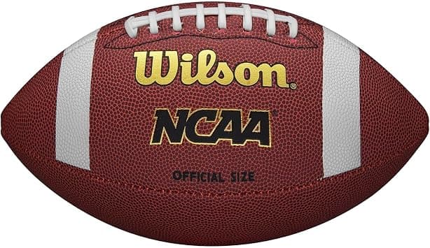 Wilson NCAA Composite Football on Amazon.ae - Price Tracker