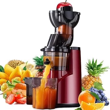 Cold Press Juicer,1000W, 600ML Capacity Slow Masticating Juicer Machines with 80mm Feeding Chute Fit Whole Fruits&Vegetables, Stainless Steel Slow Masticating Easy to Clean, High Juice Purity. على Amazon.ae - متتبع الأسعار