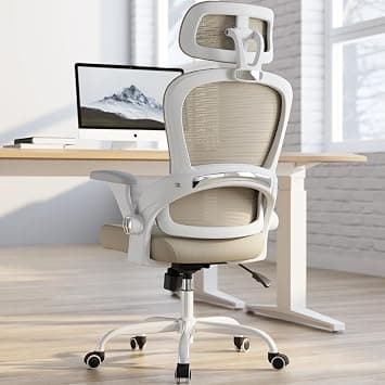 TRALT Office Chair - Ergonomic Office Chair with Back Support, Computer Chair - Home Office Desk Chairs, 330lbs Wide Seat Big and Tall Office Chairs with Headrest, Comfy Desk Chairs (Beige) on Amazon.ae - Price Tracker