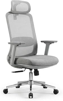 Skyland Ergonomic Office Chair with Mesh Backrest, Soft 3D Armrests, Desk chair with lumbar support, Executive Computer Chair for Home Office (Grey) on Amazon.ae - Price Tracker