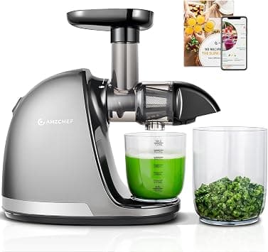 AMZCHEF Juicer Machines - Cold Press Slow Juicer - Masticating Juicer for Whole Fruits and Vegetables - Delicate Chew No Need to Filter - BPA Free Juice Extractor with 2 Cups and Brush - Grey on Amazon.ae - Price Tracker