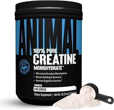 Animal Micronized Creatine – Delay Muscle Fatigue, Enhance Endurance, Boost Strength – Creatine Monohydrate Supplement for Men & Women – 1000g on Amazon.ae - Price Tracker