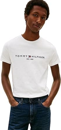Tommy Hilfiger Mens Core Tommy Flag Logo Tee T-Shirt - Amazon.ae Price Tracker