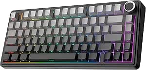 EPOMAKER x AULA F75 Gasket Mechanical Keyboard, 75% Wireless Hot Swappable Gaming Keyboard with Five-Layer Padding&Knob, Bluetooth/2.4GHz/USB-C, RGB (Black Gradient, LEOBOG Reaper Switch) on Amazon.ae - Price Tracker