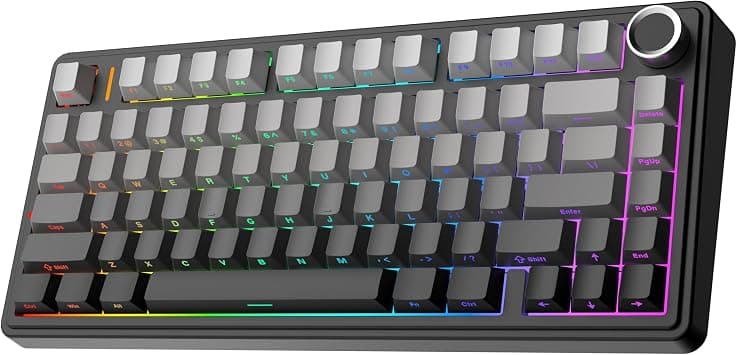 EPOMAKER x AULA F75 Gasket Mechanical Keyboard, 75% Wireless Hot Swappable Gaming Keyboard with Five-Layer Padding&Knob, Bluetooth/2.4GHz/USB-C, RGB (Black Gradient, LEOBOG Reaper Switch) - Best Deal Finder