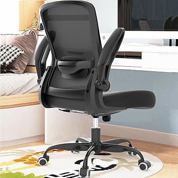 Ergonomic Office Chair - BIFMA Certified High Back Mesh Desk Chair with Adjustable Lumbar Support & Flip-Up Armrests for Home Office (Modern, All Black) - Amazon.ae Price Tracker