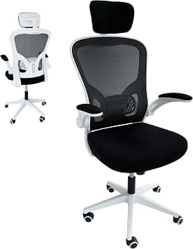 Empire Office Desk Chair, Ergonomic Office Chair with Back Support, Gaming Chair, Mesh Chair for Home with Headrest, Computer Chair with Armrest, Home Desk Comfortable Chair on Amazon.ae - Price Tracker