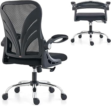 HOLLUDLE Ergonomic Office Chair with Foldable Backrest, Computer Desk Chair with Widened Seat(52 CM), Flip-up Armrests, Mesh Lumbar Support and Tilt Function, Black on Amazon.ae - Price Tracker