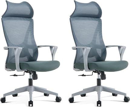 VOFFOV Office Chair Set of 2pcs with Headrest, Ergonomic Desk Chair with Lumbar Support and Armrest, Swivel Mesh Gaming Chair for Home Office Study (Grey Headrest) on Amazon.ae - Price Tracker
