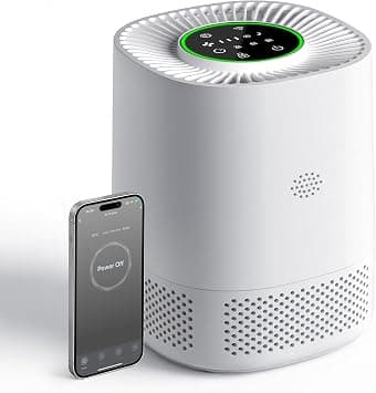 Smart Air Purifier for Rooms up to 111 m², H13 HEPA Air Filter for Bedroom with Real Time Air Quality Sensor, Air Purifier with CADR 102m³/H for Bedroom, Home and Office on Amazon.ae - Price Tracker