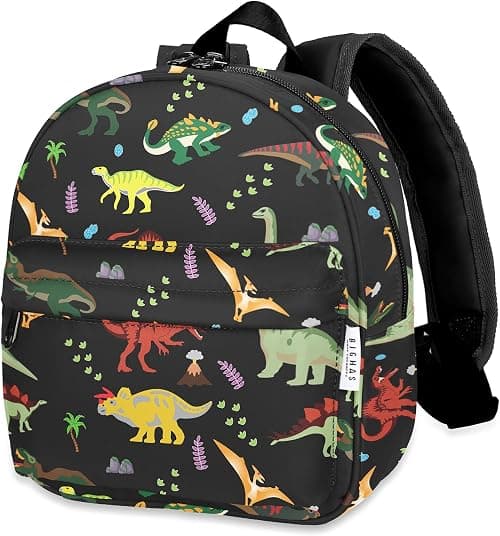 BIGHAS unisex-child Bb003 toddler backpack on Amazon.ae - Price Tracker