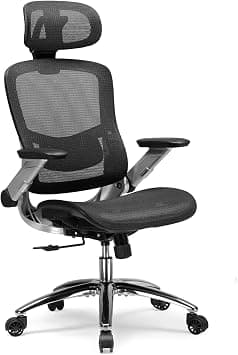 GTPLAYER Big and Tall Ergonomic High Back Home Office Desk Chair with Flip Up Armrests, Mesh Computer Study Chair with Adjustable Lumbar Support & Headrest, Executive Back-Friendly Chair - Black on Amazon.ae - Price Tracker
