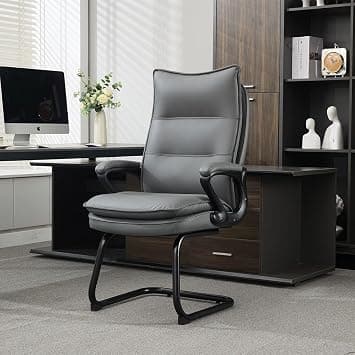 Danube Home Jayden Visitor Back Office Chair Ergonomic Office Chair | Modern Desk Computer Chair | Accent Office Armchair | Fixed Lumbar L72.5xW65xH115.3cm - Grey on Amazon.ae - Price Tracker