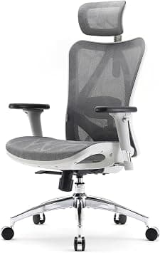 SIHOO Ergonomic Office Chair Mesh Desk Chair with Adjustable Lumbar Support 3D Armrests Breathable High Back Computer Chair (Light Gray) on Amazon.ae - Price Tracker