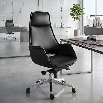 Skyland PU Leather Executive Chair - Ergonomic High-Back Office Chair with Adjustable Comfort and Aluminum Base (Black) على Amazon.ae - متتبع الأسعار