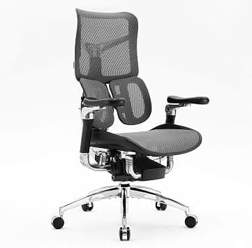 SIHOO S300 PRO Ergonomic Office Chair 6D Dynamic Lumbar Support Adjustable Seat Depth Super Soft 6D Armrests Adjustable Backrest for Home Office Chair and Tall Computer Chair (Black) on Amazon.ae - Price Tracker