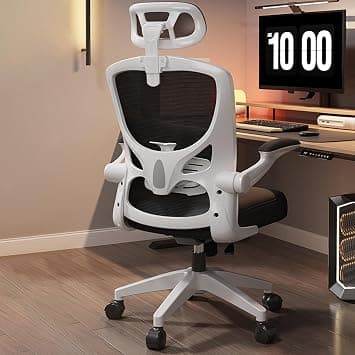 Office Chair,Ergonomic Height Adjustable Desk Chair,Home Office Desk Chair with Adjustable Headrest and Armrests,Computer Desk Chair,Comfortable Lumbar Support, Breathable Cushion for Home, Meeting on Amazon.ae - Price Tracker