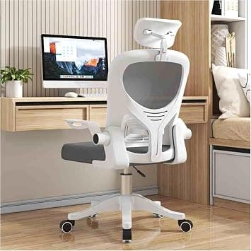 Ergonomic Office Chair, Office Desk Chair with High Back Mesh, Adjustable Seat Height, Support Rolling Work Swivel Task Chairs with Wheel 3D Armrests and Headrest, White&Gray on Amazon.ae - Price Tracker