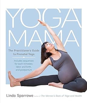 Shambhala Yoga Mama: The Practitioner's Guide To Prenatal Yoga - Amazon.ae Price Tracker