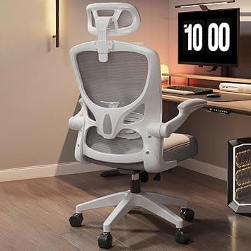 Office Chair,Ergonomic Height Adjustable Desk Chair,Home Office Desk Chair with Adjustable Headrest and Armrests,Computer Desk Chair,Comfortable Lumbar Support, Breathable Cushion for Home, Meeting on Amazon.ae - Price Tracker
