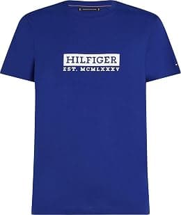 TOMMY HILFIGER mens COLOUR TO COLOUR GRAPHIC TEE S/S T-Shirt - Best Deal Finder