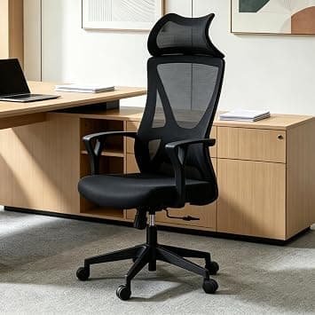 Ergonomic Office Chair with Headrest, High-Back Mesh Computer Desk Chair, Lumbar Support, 360° Swivel, Adjustable Height & Rocking Function, Black on Amazon.ae - Price Tracker