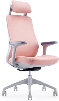 Skyland Lumbar Massage Office Chair with Wireless Heated Lumbar Massager - High-Back Mesh Design, Adjustable Headrest & Armrests for Ultimate Comfort (Pink) - Amazon.ae Price Tracker