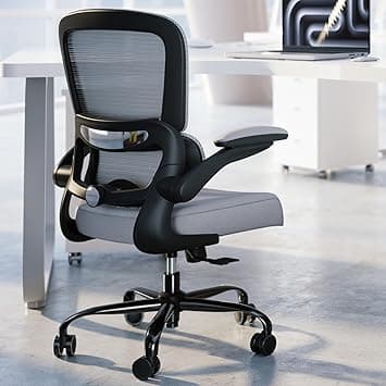TRALT Office Chair - Ergonomic Desk Chair with Adjustable Lumbar Support, Mesh Computer Chair, Executive Chair for Home Office Comfortable Lumbar Support (Fog Gray) - Amazon.ae Price Tracker