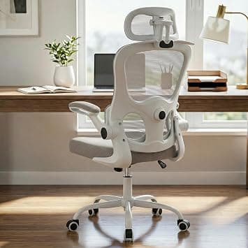 DROGO Premium Ergonomic Office Chair for Work from Home | 3D Adjustable Headrest | High Back Mesh Computer Chair with Flip-Up Armrest, Recline & Adjustable Lumbar Support | Desk Chair (White/Grey) on Amazon.ae - Price Tracker
