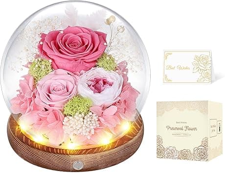 Preserved Roses in Glass Dome with LED Light - Long Lasting Real Roses, Forever Flowers for Delivery, Valentine Gift Mothers Gifts for Her, Mom, Wife Anniversary Birthday Gifts for Women, Pink - Amazon.ae Price Tracker