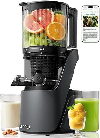 Canoly C16 Cold Press Juicer, 150mm & 2.6L Extra Big Feed Chute, 3-lN-1 Strainers (Juice &Sorbet & Nut Milk), Powerul AC Brushless Motor, Self Precut System, Juicer Machines with BPA-Free, Space Gray on Amazon.ae - Price Tracker