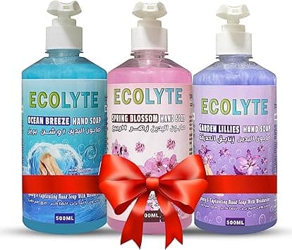ECOLYTE+ Hand Wash Liquid Soap, Skincare, Effective Germ Protection &amp; Personal Hygiene, Protects Against 100 Illness Germs [1st Option (Ocean Breeze, Spring Blossom &amp; Garden Lillies) 500ml, Pack of 3] on Amazon.ae - Price Tracker