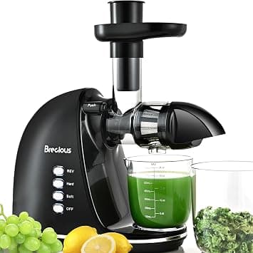 BRECIOUS Slow Masticating Juicer, Cold Press Juicer with 2 Speed Modes & Quiet Motor,Juicer Machines Vegetable and Fruit with Reverse Function,Celery Juicer,BPA-Free,Easy to Clean (Black) on Amazon.ae - Price Tracker