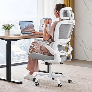 Ergonomic Office Chair with Lumbar Support - Adjustable Computer Desk Chairs for Home Office, Gaming, and Work - Comfortable and Supportive Desk Chairs for Adults (Grey) على Amazon.ae - متتبع الأسعار