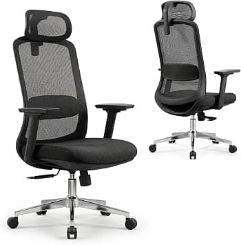 Skyland Ergonomic Office Chair with Mesh Backrest, Soft 3D Armrests, Desk chair with lumbar support, Executive Computer Chair for Home Office (black) on Amazon.ae - Price Tracker