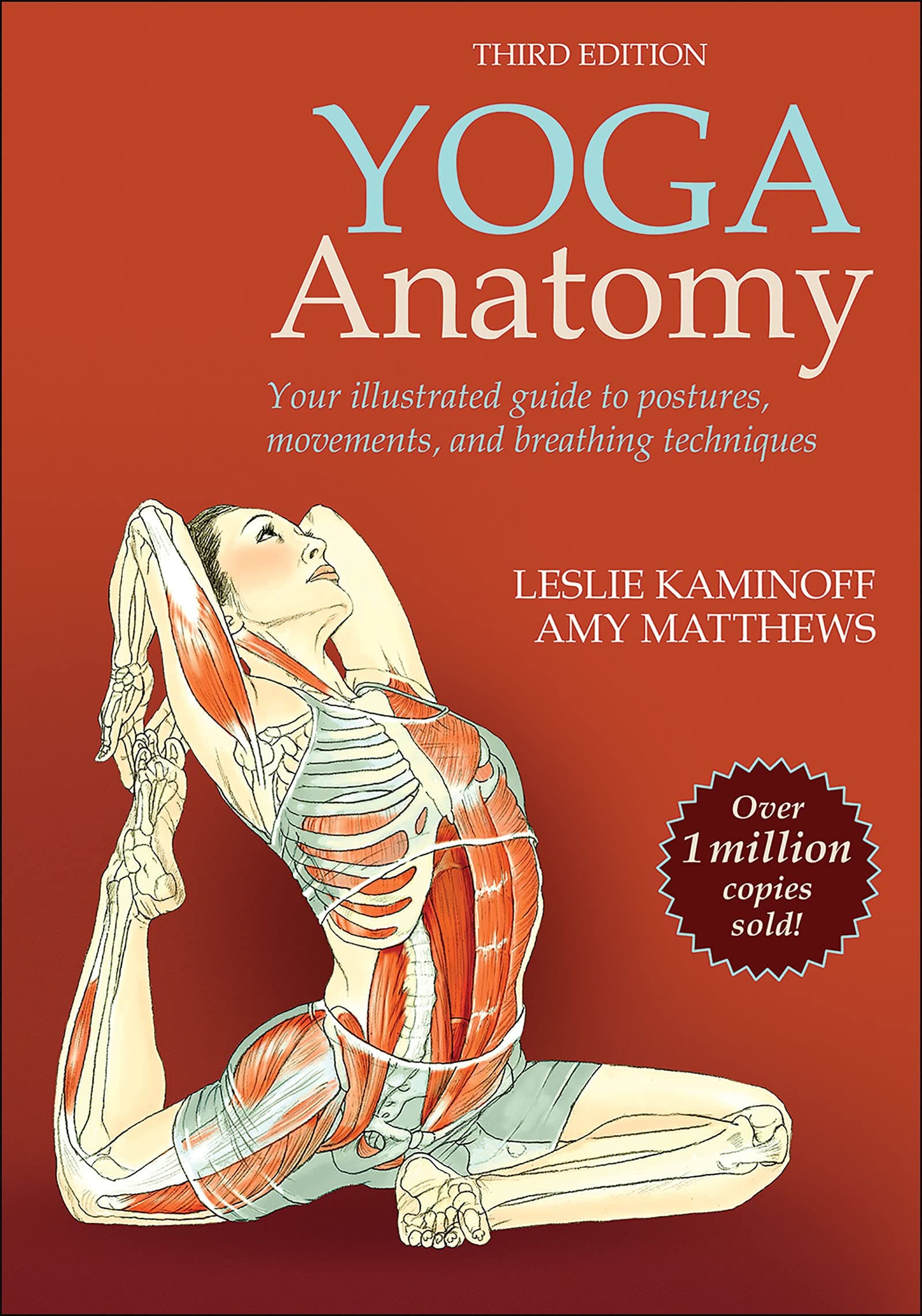 Human Kinetics Yoga Anatomy on Amazon.ae - Price Tracker