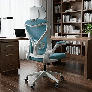 Drogo Ergonomic Office Chair for Work with SGS Class-3 Gas Lift, Breathable Korean Mesh, Adjustable Armrests, Lumbar Support,Computer Chair for Home or Office, Desk Chair (Blue) - Amazon.ae Price Tracker