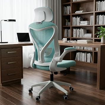 Drogo Ergonomic Office Chair for Work with SGS Class-3 Gas Lift, Breathable Korean Mesh, Adjustable Armrests, Lumbar Support,Computer Chair for Home or Office, Desk Chair (Teal) on Amazon.ae - Price Tracker