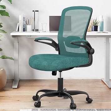 Ergonomic Office Chair - BIFMA Certified High Back Mesh Desk Chair with Adjustable Lumbar Support & Flip-Up Armrests for Home Office (Modern, Green) on Amazon.ae - Price Tracker