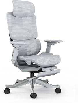 Skyland Ergonomic Office Chair - High-Back Mesh Design, 5D Armrests, Adjustable Lumbar Support & Footrest, Reclining & Seat Depth Adjustment - Executive Comfort for Long Work Hours (Grey) على Amazon.ae - متتبع الأسعار