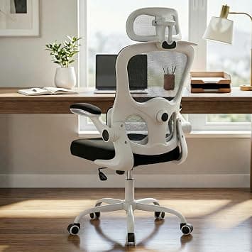 DROGO Premium Ergonomic Office Chair for Work from Home | 3D Adjustable Headrest | High Back Mesh Computer Chair with Flip-Up Armrest, Recline & Adjustable Lumbar Support | Desk Chair (White/Black) on Amazon.ae - Price Tracker