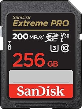 SanDisk 256GB Extreme PRO SDXC card + RescuePRO Deluxe, up to 200MB/s, UHS I, Class 10, U3, V30 SDSDXXD 256G GN4IN, Black on Amazon.ae - Price Tracker