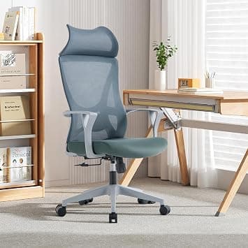 VOFFOV Office Chair with Headrest, Desk Chair Ergonomic Chair with Lumbar Support Armrest, Swivel Mesh Gaming for Home Office Study (Grey Headrest) on Amazon.ae - Price Tracker