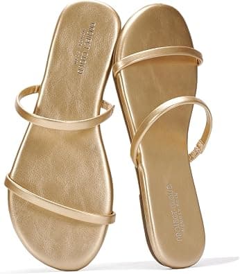 Project Cloud Transition womens Flat Sandal | Memory Foam Insole; Beach Flip Flops; Non-Slip Sole; Lightweight Double Straps; Summer Sandals for Women; Everyday Comfort on Amazon.ae - Price Tracker