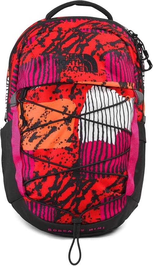 The North Face unisex-adult Borealis Mini Backpack Daypack on Amazon.ae - Price Tracker