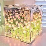 Excefore DIY Tulip Night Light, 21 Flowers Cloud Mirror Tulip Lamp, Infinity Mirror Lights, Light and Mirror 2 in 1 Portable LED Bedside Lamps, Flower Girl Gifts for Friends Couple Birthday - Amazon.ae Price Tracker