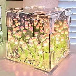Excefore DIY Tulip Night Light, 21 Flowers Cloud Mirror Tulip Lamp, Infinity Mirror Lights, Light and Mirror 2 in 1 Portable LED Bedside Lamps, Flower Girl Gifts for Friends Couple Birthday - Amazon.ae Price Tracker