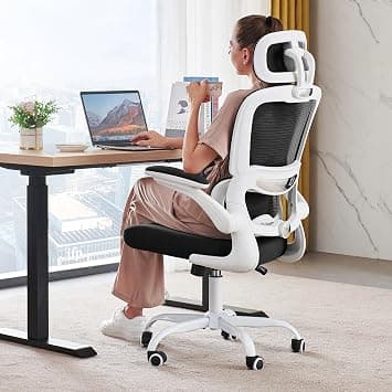 Ergonomic Office Chair with Lumbar Support - Adjustable Computer Desk Chairs for Home Office, Gaming, and Work - Comfortable and Supportive Desk Chairs for Adults (Black & White) on Amazon.ae - Price Tracker
