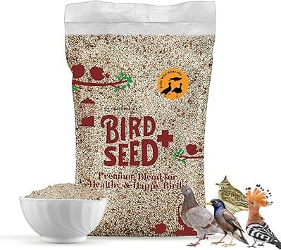 Egardenkart® Bird Food Daily Budget-Friendly - 10 Kg, Bird Seed | Wild Bird Feed for all Types of Wild Birds | Birds Food for Small Birds Dove Pigeon Myna Lark Bulbul Sparrow Hoopoe Seed Mix (10) - Amazon.ae Price Tracker